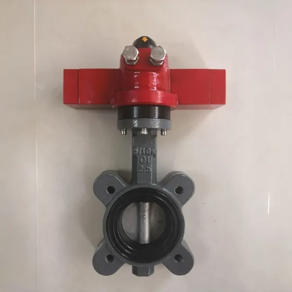 GB/T3036-94 Vessel Hydraulic Butterfly Valve Single Side Detachable Semi-Lug Body photo-4