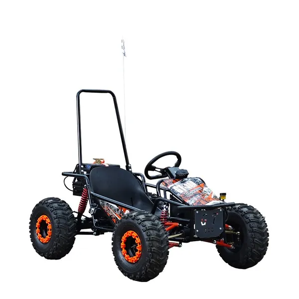 2026 Newest Factory Price Cheap High Quality 1000w Kids/teenager/Adults Fast Speed Go Karts/Buggy Hot on Sale