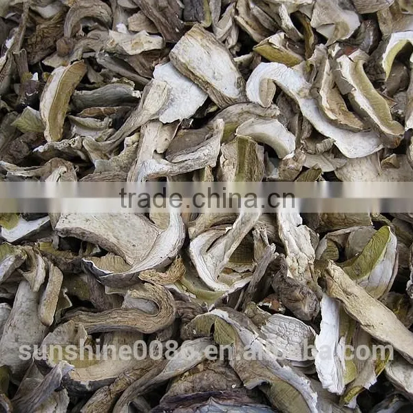 White Porcini Mushroom Dried Boletus Price With High Quality photo-2