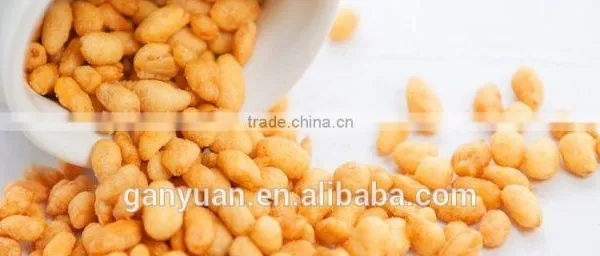 2016 Hot Sales HACCP Certificate Delicious Pork Song Flavor Sunflower Seed Snack Food photo-2