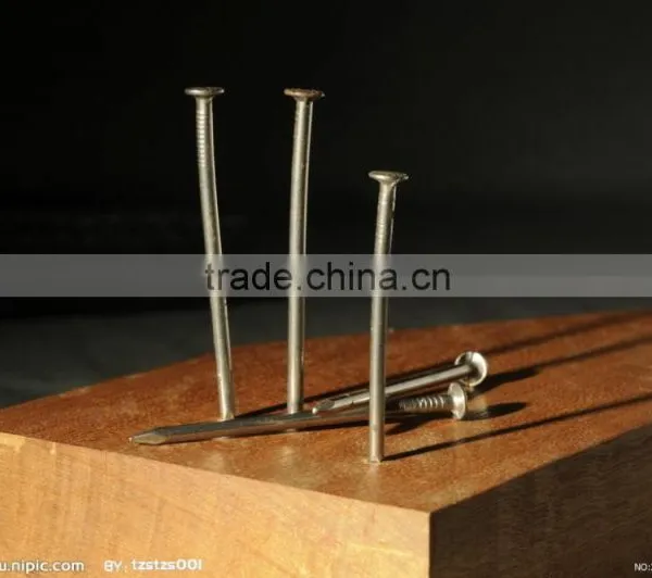 Galvanized Hardened Concrete Steel Nails photo-4