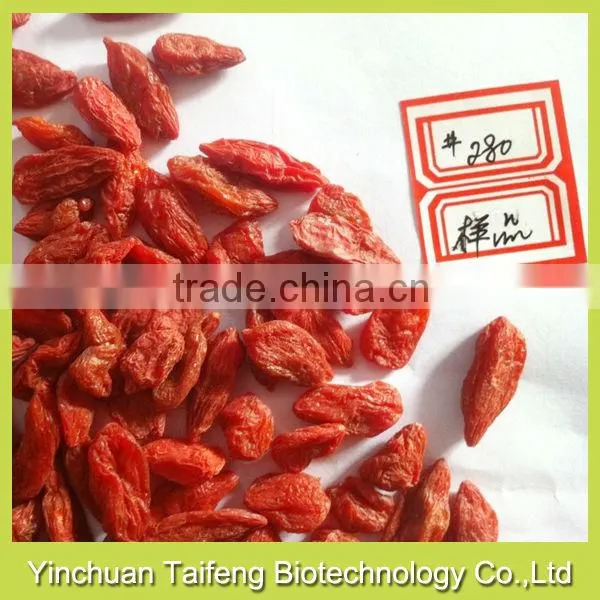 Super Fruit Gojiberry With Low Price photo-3