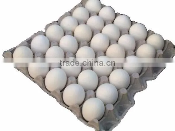 8 Sides 6 Moulds Paper Egg Tray Making Machine photo-4