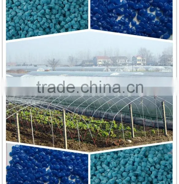 Greenhouse Film
