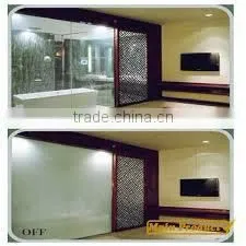 Switchable Smart Glass