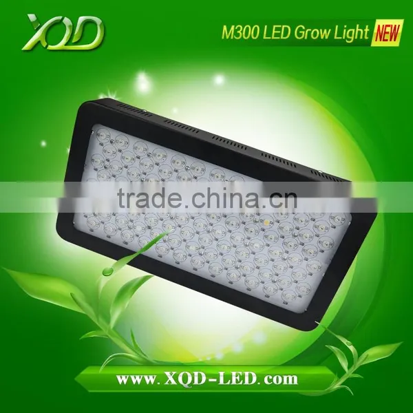 Led Bulbs to Indoor Growing High Power Lighting Led 300w 3w Chip Looking for Partners photo-3