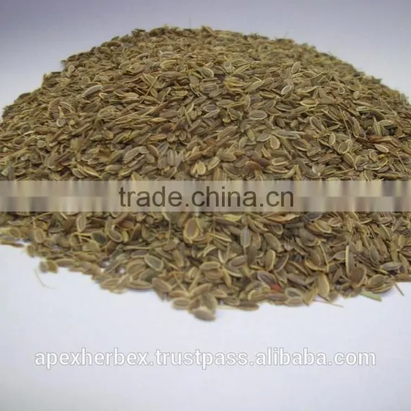 Dill Seed / Anthem Graveolens / Suwa photo-5