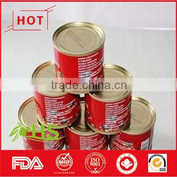Canned Tomato Paste of Good Quality photo-5