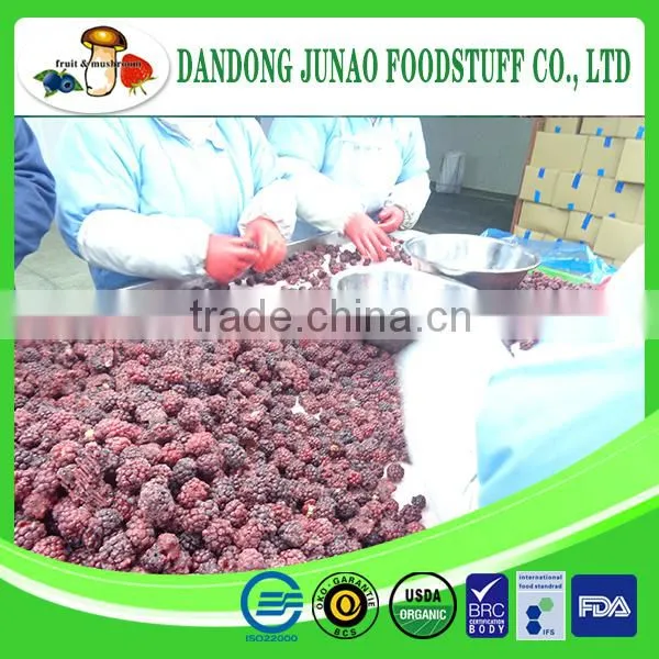 New Crop Chinese Iqf Dried Blackberry Fruit for Juice photo-2