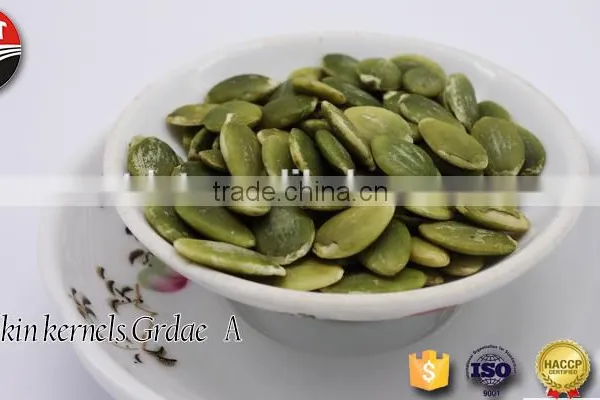 Shine Skin Pumpkin Seeds Kernels Grade A+AA+AAA+