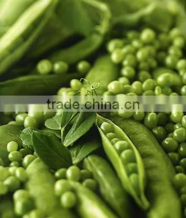 Soybean Peeling Machine /green Bean Peeling Machine photo-4