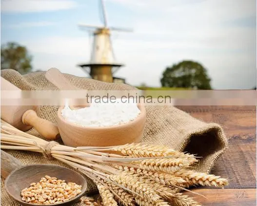 High Quality Wheat Flour