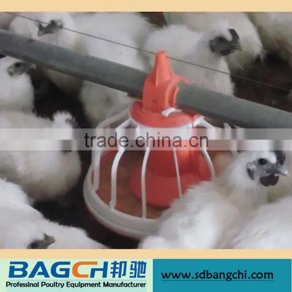 Best Selling Automatic Feeder for Chickens House Manufacturer photo-3