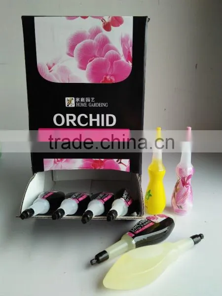 Drip Feed Orchid
