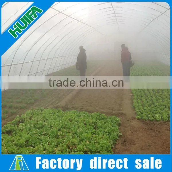 New Design Hot Sale Steel Frame High Tunnel Greenhouse photo-5