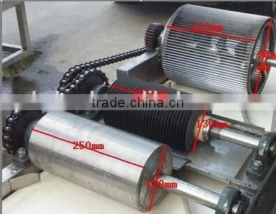 Automatic Preserved Fruit Dicer Cube Machine photo-2