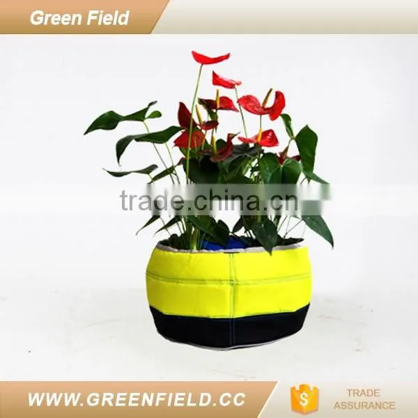 Waterproof Indoor Flower Pot Home Plant Pot photo-2