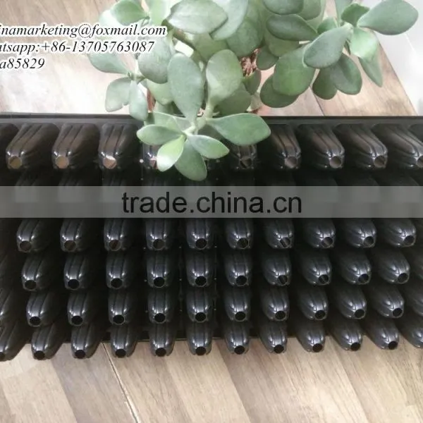 90mm Deep 72 Cells Black PS Plastic Plug Forest Nursery Seedling Planting Tray Multiple Use photo-5