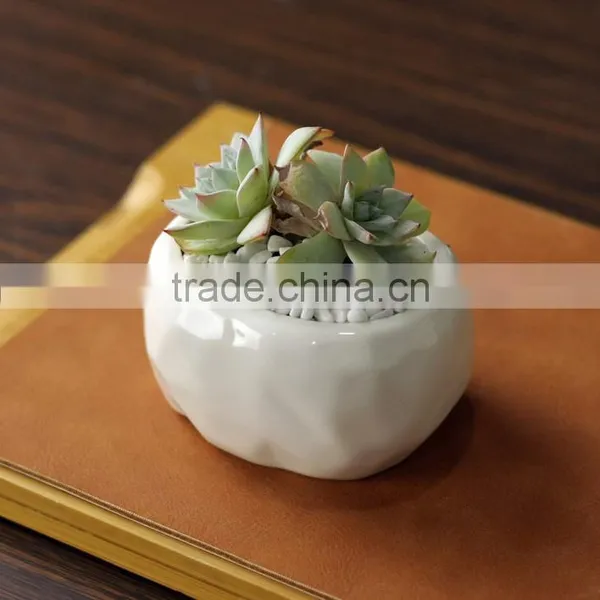 New Design Oval Stone Grain Ceramic Product Small White Flower Pot photo-3