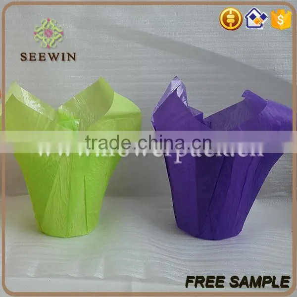 Wholesale Various Colors Bopp Plastic Flower Pot photo-5
