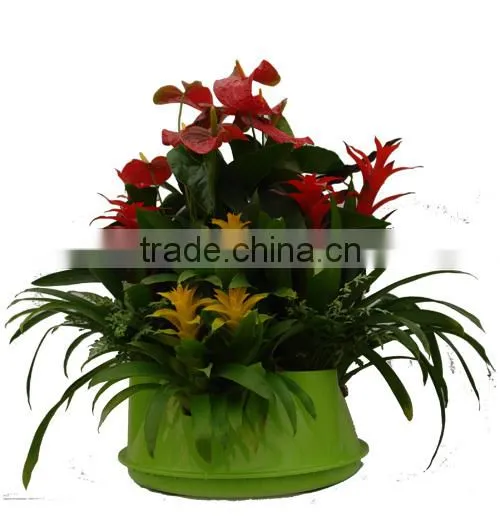 Home Garden Indoor Wedding Ceremony Decoration