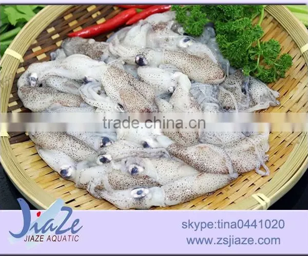 Zhoushan Seafood Suppliers Frozen Baby Squid photo-4