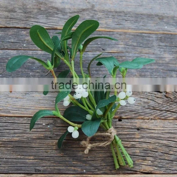 Christmas Mistletoe