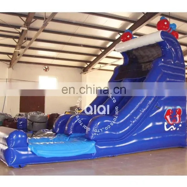 Cheap Residential Inflatable Water Slides photo-5