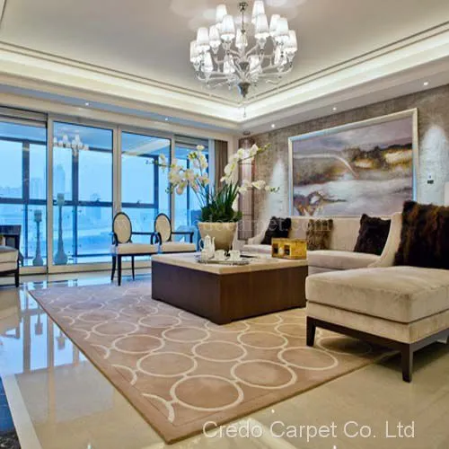 Beige Color Living Room Large Size Luxury Quality Carpet (CR09)