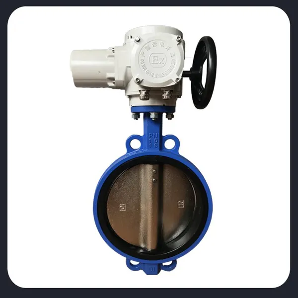 Electric Butterfly Valve Electric Actuator DN25 Aluminium Alloy Box photo-4