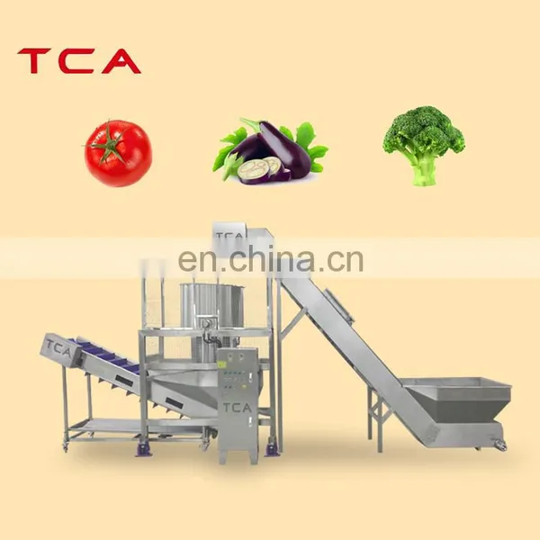 SUS 304 Vegetable Salad Commercial Vegetable Dehydrating Processing Line Good Quality photo-4