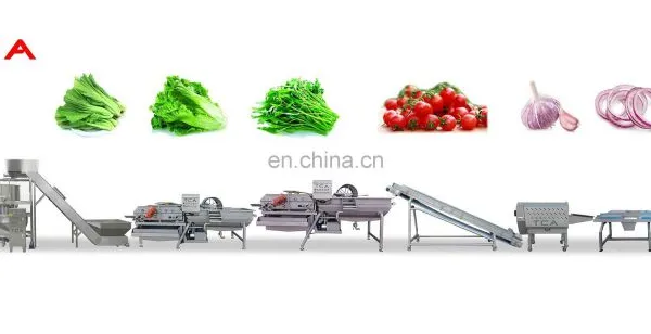 SUS 304/ 316 Commercial Vegetable Cleaning Dehydrating Processing Line With CE photo-5