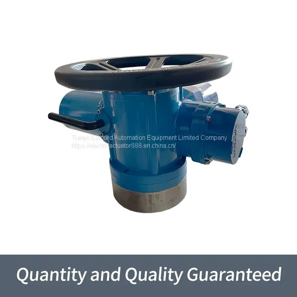 Bernard Multi-turn Electric Actuator DZW60 Thrust Type Valve Electric Device photo-5