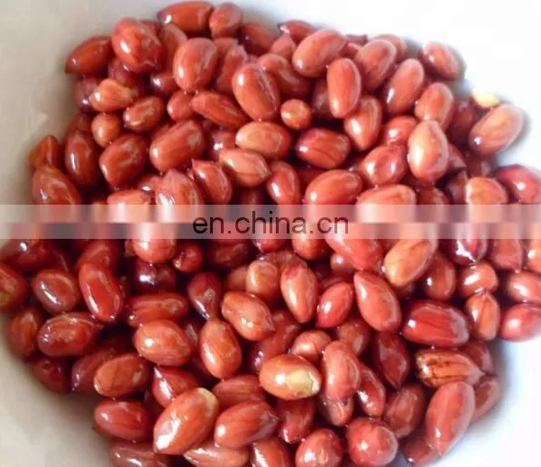 Small Peanut Roaster for Sale/peanut Roaster Machine photo-2
