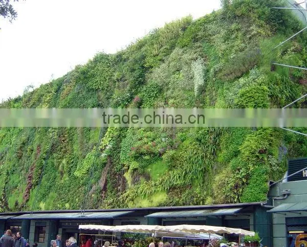 Home Decor Hot Selling Products for 2015 Artificial Plastic Green Moss Wall on Sale photo-6