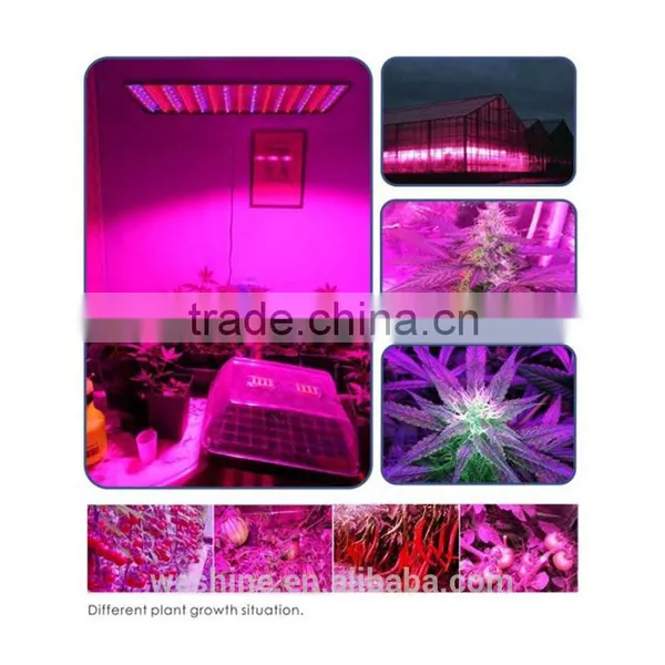 Amazon HOT Cheap Surface Square Mounted 45W 225 LEDs Grow Light Greenhouse Hydroponics Fruit Plant Panel photo-6