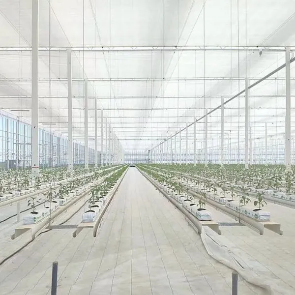 Hot Selling Top Quality Good Prices Transparent Energy Saving Screen for Greenhouse photo-5