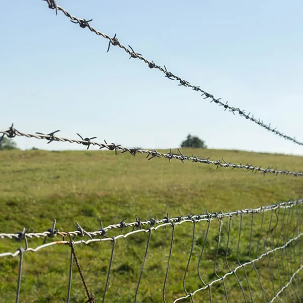 High Quality Galvanized Steel Wire Mesh Barbed Wire Fence Roll Good Corrosion Resistance photo-3