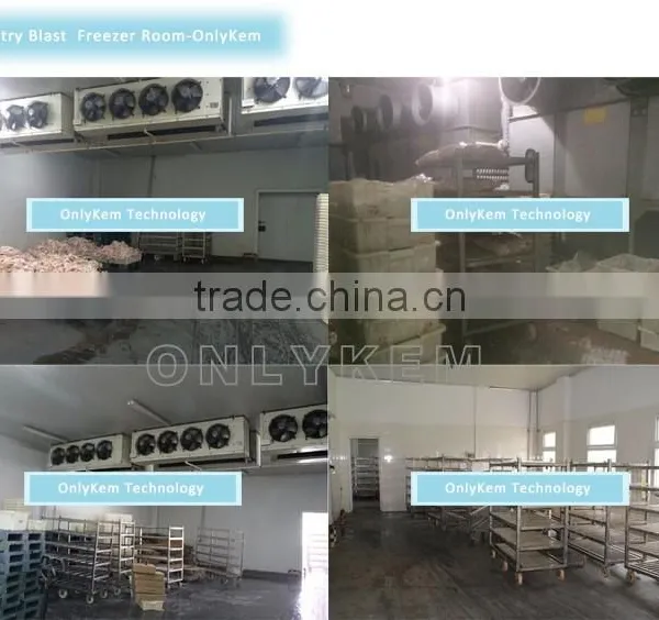 Cool Room , Cold Room Price , Cold Room for Fish Quality Choice photo-6