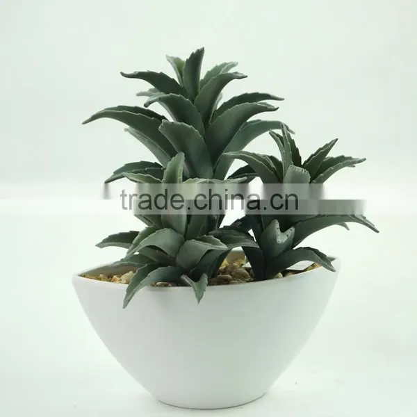 Environmental Artificial Aloe Bonsai For Decoration photo-3
