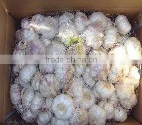 New Crop Normal White Garlic ---Garlic Factory /High Quality photo-4