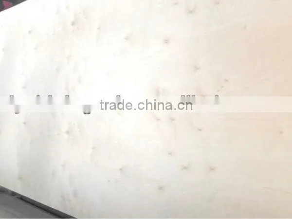 5MM C2 White Birch Plywood photo-5