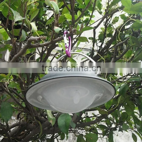 Led Hottest Solar Desk Spike Flood Garden Gardeners Choice Solar Led Lawn Garden Lamp Light photo-3