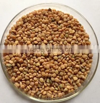 Guar Seeds photo-2