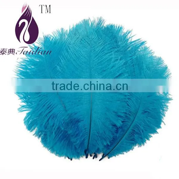 15CM-20CM Ostirch Feather,TURQUOISE BLUE Ostrich Feathers Wholesale photo-2