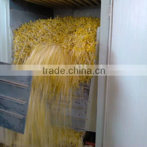 2014 Hot Selling Bean Sprout Machine and Cleaning Machine photo-2