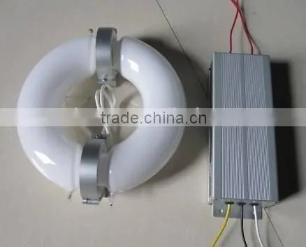 80w-250w Circular lvd Induction Lighting
