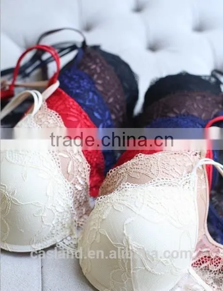 New Arrvial Sexy Bra and Panty With Lace(FPY319) Quality Choice photo-5