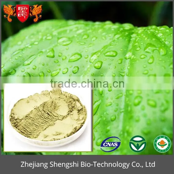 Food Grade Plant Leaf Extract, Lotus Leaf Extract