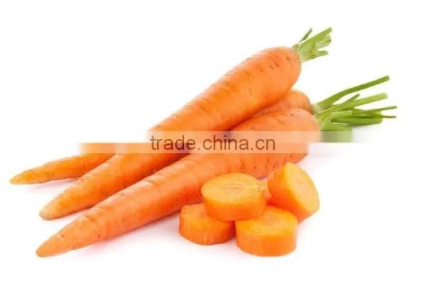 Supply Fresh Carrot With Good Quality for Sale photo-3